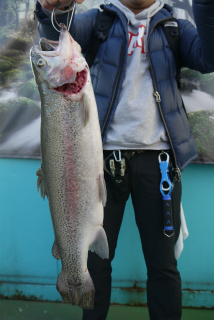 としまえんフィッシングエリア 釣果