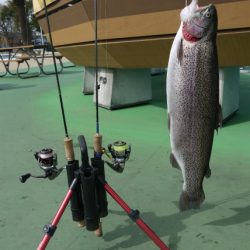 としまえんフィッシングエリア 釣果