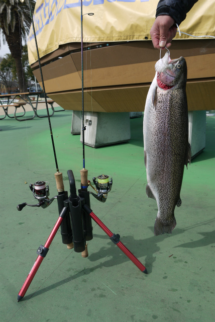 としまえんフィッシングエリア 釣果