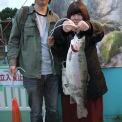 としまえんフィッシングエリア 釣果