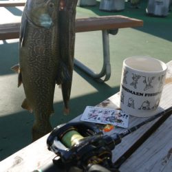 としまえんフィッシングエリア 釣果