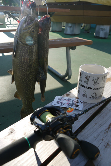 としまえんフィッシングエリア 釣果