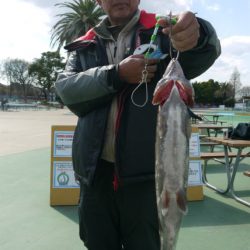 としまえんフィッシングエリア 釣果