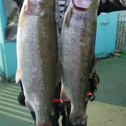 としまえんフィッシングエリア 釣果