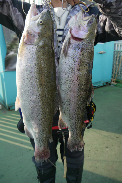 としまえんフィッシングエリア 釣果