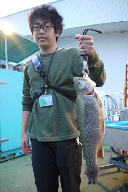 としまえんフィッシングエリア 釣果