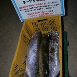 としまえんフィッシングエリア 釣果