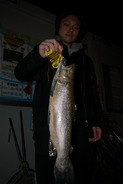 としまえんフィッシングエリア 釣果