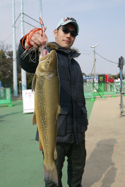 としまえんフィッシングエリア 釣果