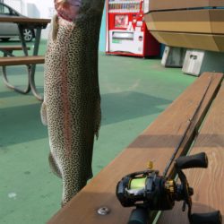 としまえんフィッシングエリア 釣果