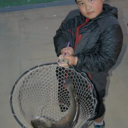 としまえんフィッシングエリア 釣果