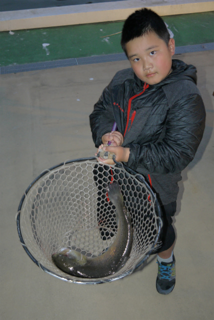 としまえんフィッシングエリア 釣果