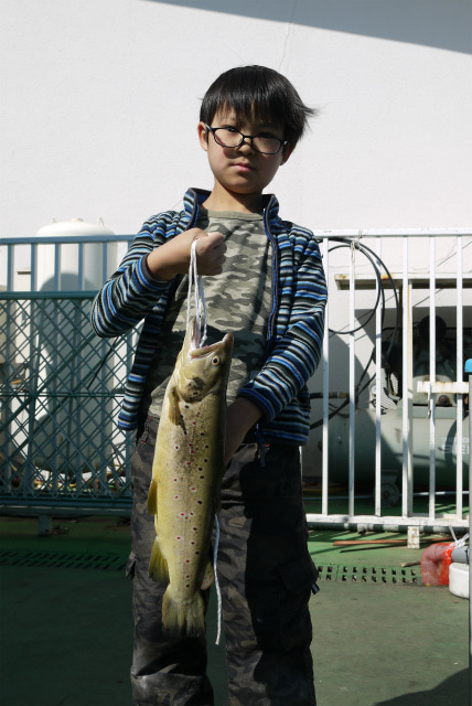 としまえんフィッシングエリア 釣果
