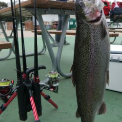 としまえんフィッシングエリア 釣果