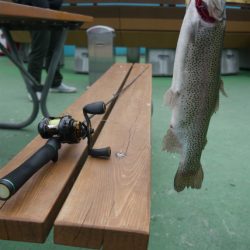 としまえんフィッシングエリア 釣果