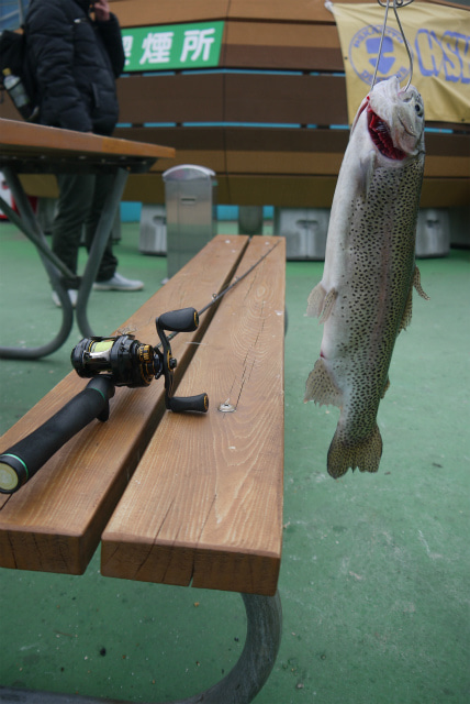 としまえんフィッシングエリア 釣果