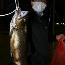 としまえんフィッシングエリア 釣果