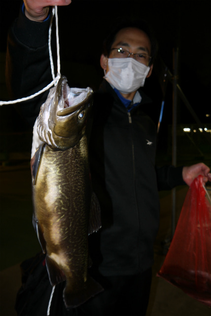 としまえんフィッシングエリア 釣果