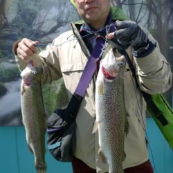 としまえんフィッシングエリア 釣果