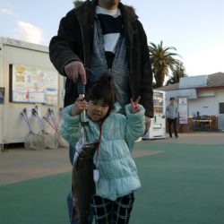 としまえんフィッシングエリア 釣果