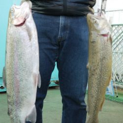 としまえんフィッシングエリア 釣果