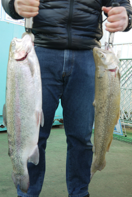 としまえんフィッシングエリア 釣果