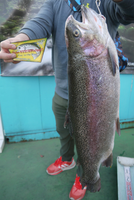 としまえんフィッシングエリア 釣果