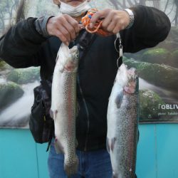 としまえんフィッシングエリア 釣果