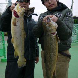 としまえんフィッシングエリア 釣果