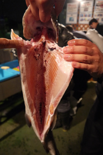 としまえんフィッシングエリア 釣果