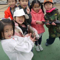 としまえんフィッシングエリア 釣果