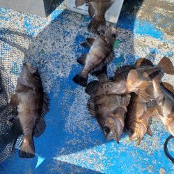 海龍丸（石川） 釣果