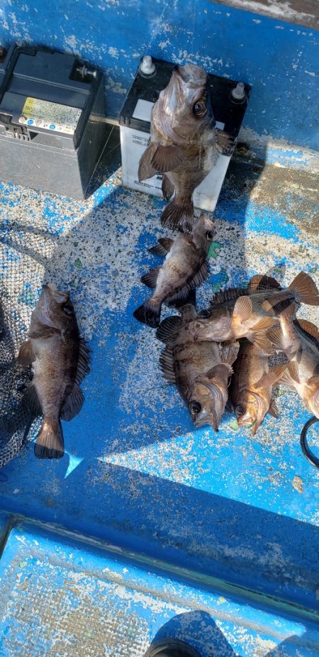 海龍丸（石川） 釣果