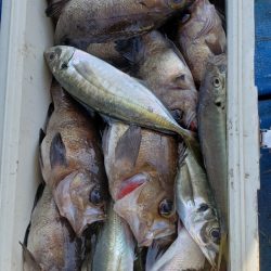 海龍丸（石川） 釣果