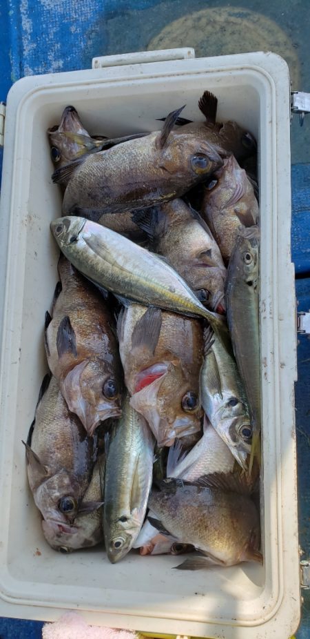 海龍丸（石川） 釣果