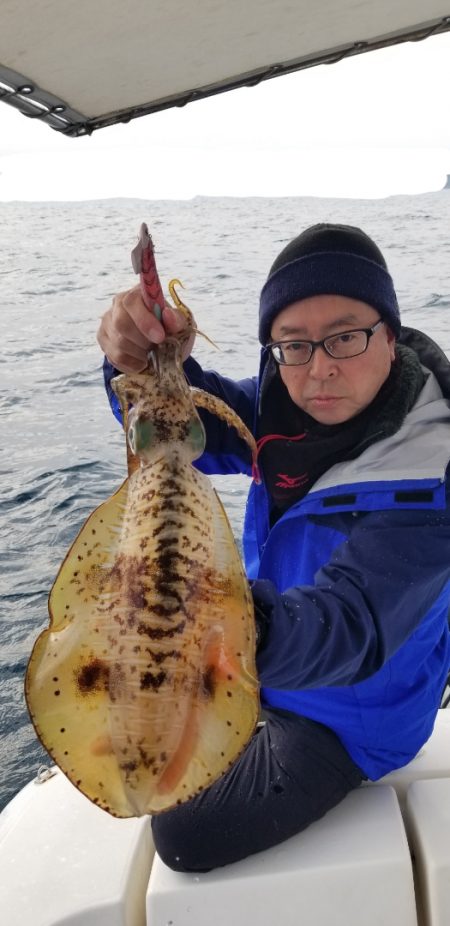 ソルトウォーターガイドフレンズ 釣果