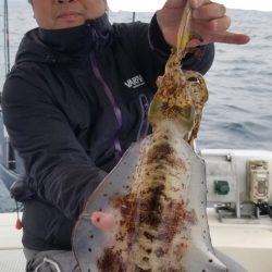 ソルトウォーターガイドフレンズ 釣果