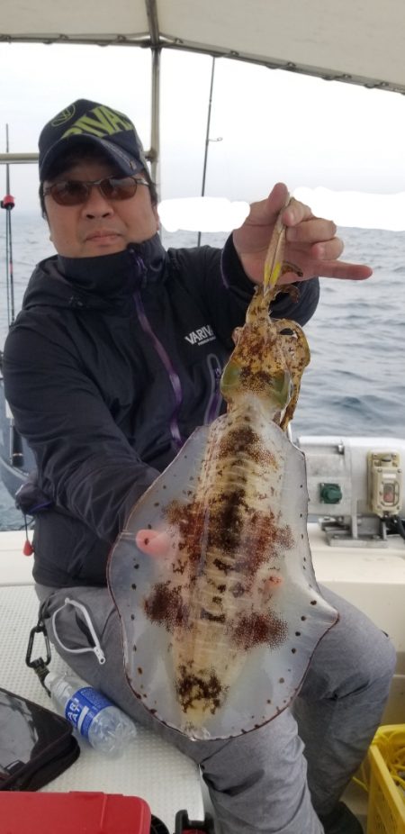 ソルトウォーターガイドフレンズ 釣果