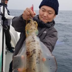 ソルトウォーターガイドフレンズ 釣果