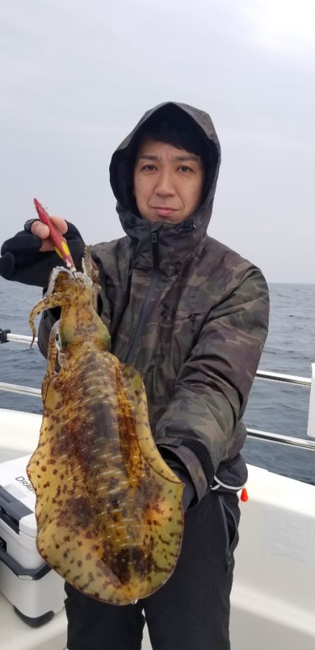 ソルトウォーターガイドフレンズ 釣果