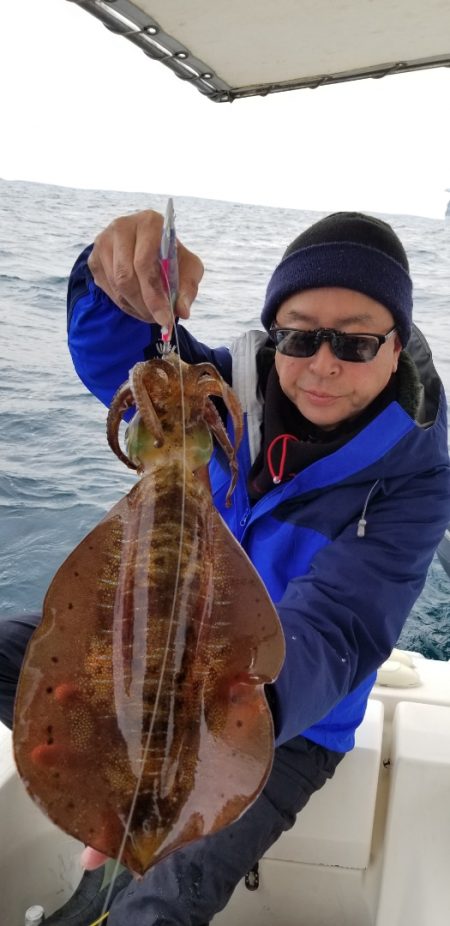 ソルトウォーターガイドフレンズ 釣果