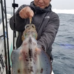 ソルトウォーターガイドフレンズ 釣果