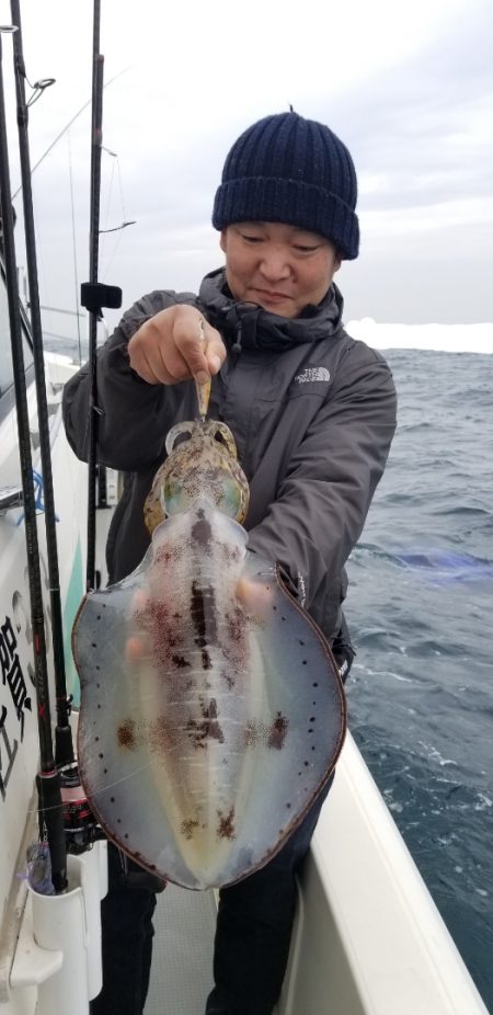 ソルトウォーターガイドフレンズ 釣果