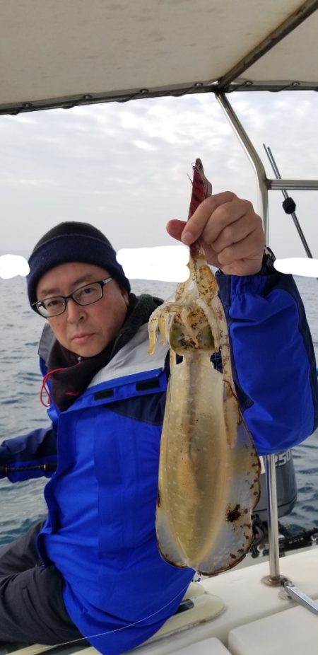 ソルトウォーターガイドフレンズ 釣果