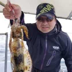 ソルトウォーターガイドフレンズ 釣果