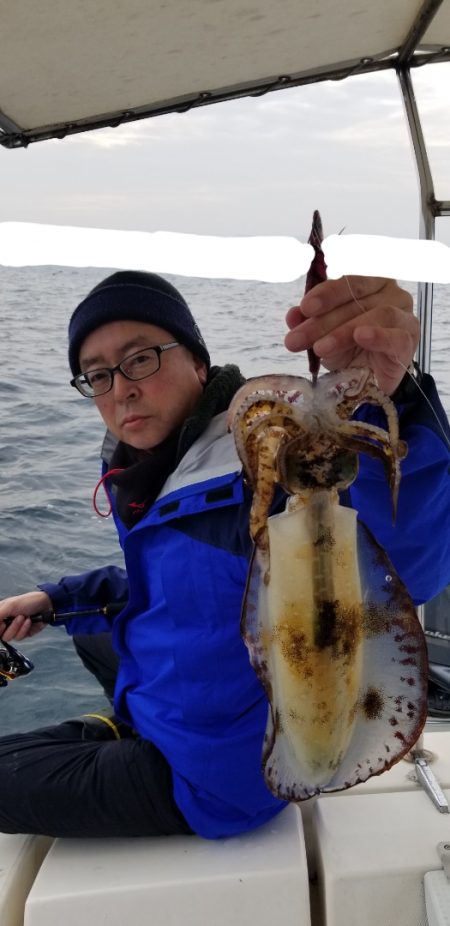 ソルトウォーターガイドフレンズ 釣果