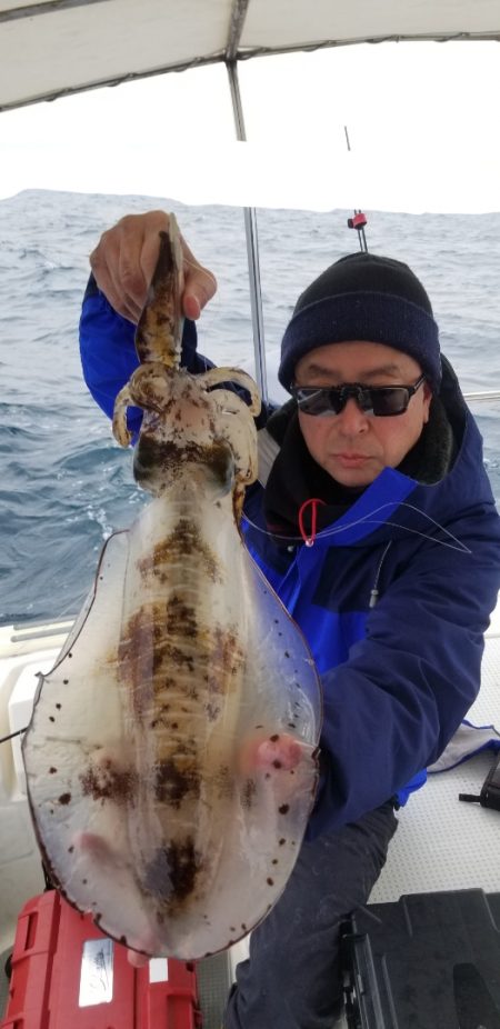 ソルトウォーターガイドフレンズ 釣果