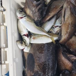 海龍丸（石川） 釣果