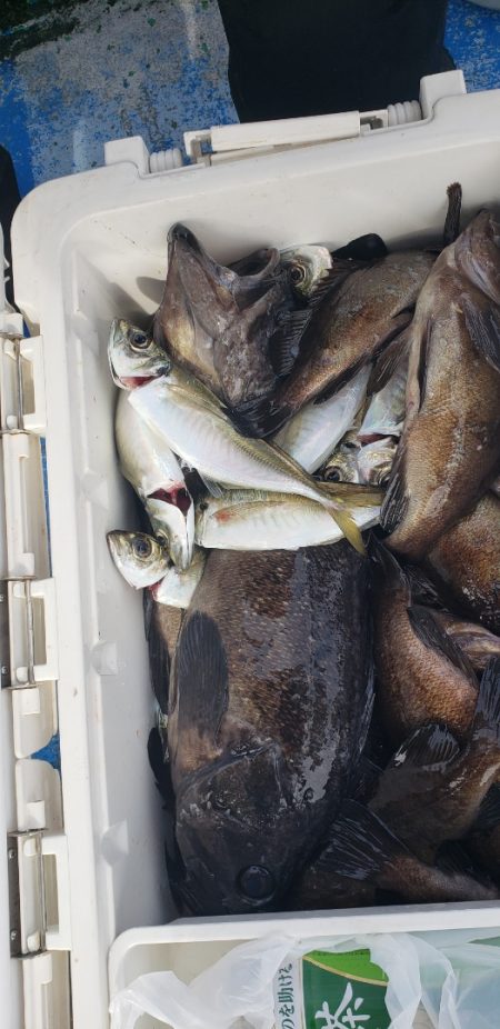 海龍丸（石川） 釣果