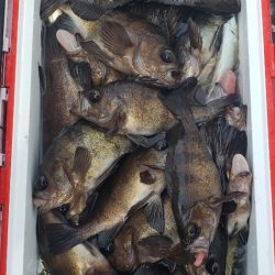 海龍丸（石川） 釣果